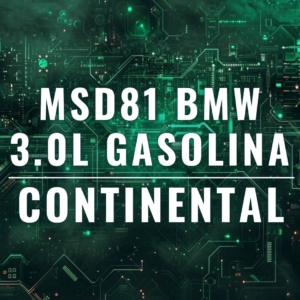 大陆 MSD81 – 宝马 – 3.0 升汽油